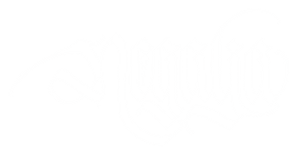 Negaya